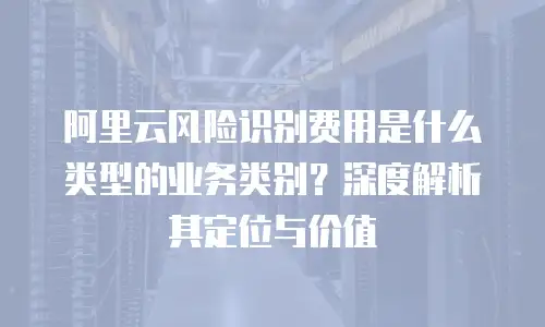 阿里云风险识别费用是什么类型的业务类别？深度解析其定位与价值