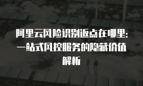 阿里云风险识别返点在哪里：一站式风控服务的隐藏价值解析