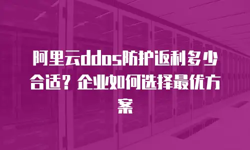阿里云ddos防护返利多少合适？企业如何选择最优方案