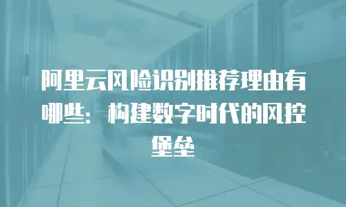 阿里云风险识别推荐理由有哪些：构建数字时代的风控堡垒