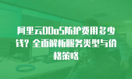 阿里云DDoS防护费用多少钱？全面解析服务类型与价格策略