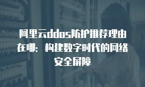 阿里云ddos防护推荐理由在哪：构建数字时代的网络安全屏障