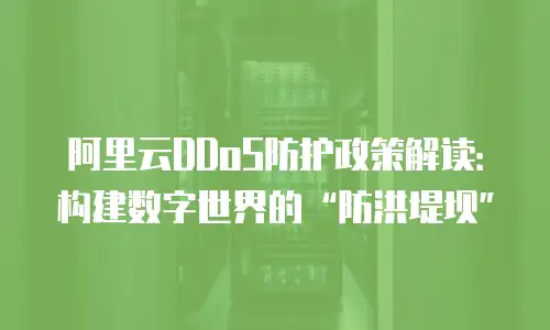 阿里云DDoS防护政策解读：构建数字世界的“防洪堤坝”