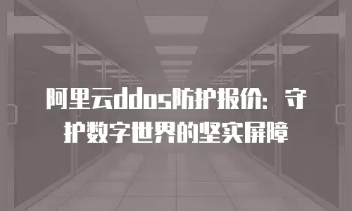阿里云ddos防护报价：守护数字世界的坚实屏障