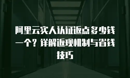 阿里云实人认证返点多少钱一个？详解返现机制与省钱技巧