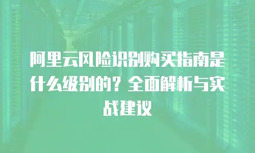阿里云风险识别购买指南是什么级别的？全面解析与实战建议