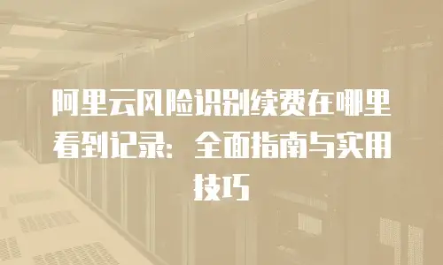 阿里云风险识别续费在哪里看到记录：全面指南与实用技巧