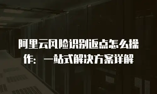 阿里云风险识别返点怎么操作：一站式解决方案详解