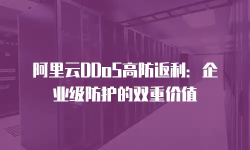 阿里云DDoS高防返利：企业级防护的双重价值