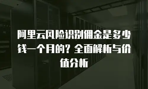 阿里云风险识别佣金是多少钱一个月的？全面解析与价值分析