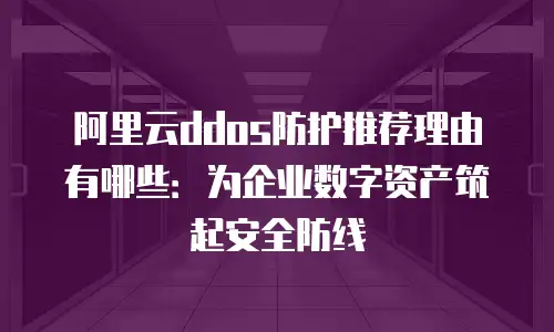 阿里云ddos防护推荐理由有哪些：为企业数字资产筑起安全防线