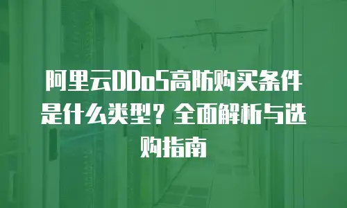 阿里云DDoS高防购买条件是什么类型？全面解析与选购指南