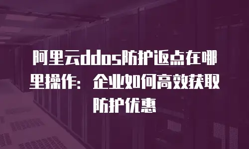阿里云ddos防护返点在哪里操作：企业如何高效获取防护优惠
