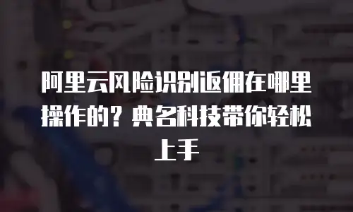 阿里云风险识别返佣在哪里操作的？典名科技带你轻松上手