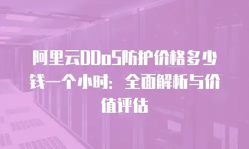 阿里云DDoS防护价格多少钱一个小时：全面解析与价值评估