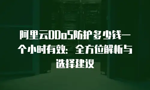阿里云DDoS防护多少钱一个小时有效：全方位解析与选择建议