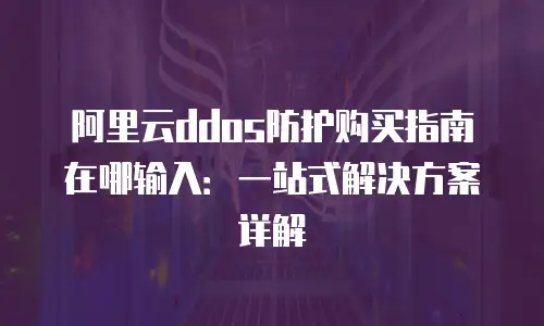 阿里云ddos防护购买指南在哪输入：一站式解决方案详解