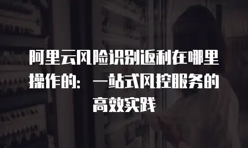 阿里云风险识别返利在哪里操作的：一站式风控服务的高效实践