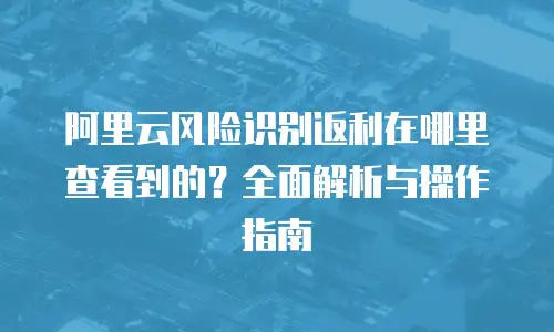 阿里云风险识别返利在哪里查看到的？全面解析与操作指南