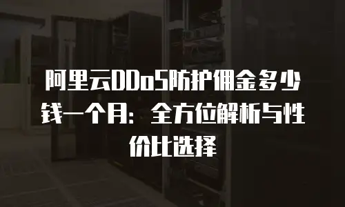 阿里云DDoS防护佣金多少钱一个月：全方位解析与性价比选择