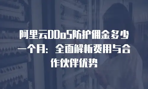 阿里云DDoS防护佣金多少一个月：全面解析费用与合作伙伴优势