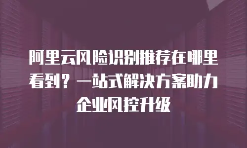 阿里云风险识别推荐在哪里看到？一站式解决方案助力企业风控升级