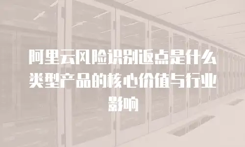 阿里云风险识别返点是什么类型产品的核心价值与行业影响