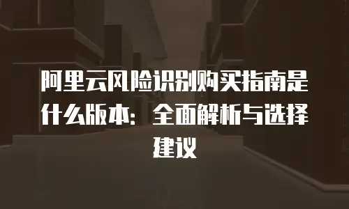 阿里云风险识别购买指南是什么版本：全面解析与选择建议