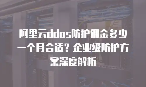 阿里云ddos防护佣金多少一个月合适？企业级防护方案深度解析