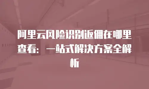 阿里云风险识别返佣在哪里查看：一站式解决方案全解析