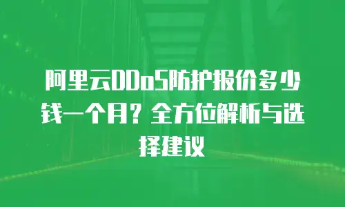阿里云DDoS防护报价多少钱一个月？全方位解析与选择建议