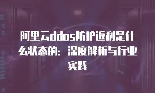 阿里云ddos防护返利是什么状态的：深度解析与行业实践