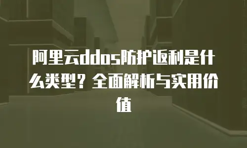 阿里云ddos防护返利是什么类型？全面解析与实用价值