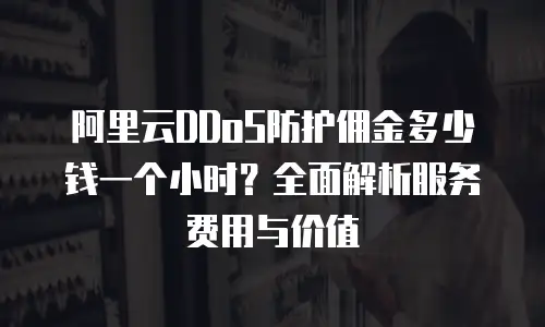 阿里云DDoS防护佣金多少钱一个小时？全面解析服务费用与价值