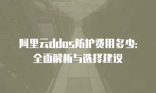 阿里云ddos防护费用多少：全面解析与选择建议