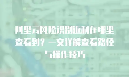 阿里云风险识别返利在哪里查看到？一文详解查看路径与操作技巧