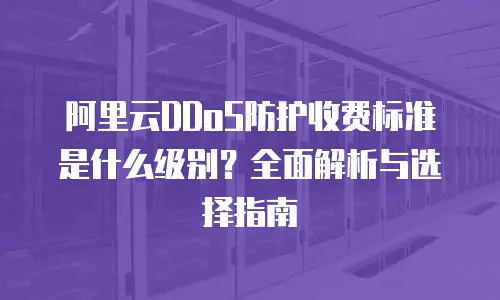 阿里云DDoS防护收费标准是什么级别？全面解析与选择指南