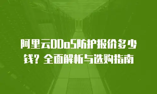 阿里云DDoS防护报价多少钱？全面解析与选购指南