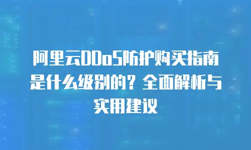 阿里云DDoS防护购买指南是什么级别的？全面解析与实用建议