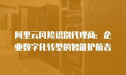 阿里云风险识别代理商：企业数字化转型的智能护航者