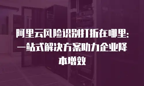 阿里云风险识别打折在哪里：一站式解决方案助力企业降本增效