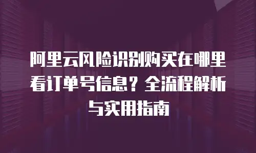 阿里云风险识别购买在哪里看订单号信息？全流程解析与实用指南