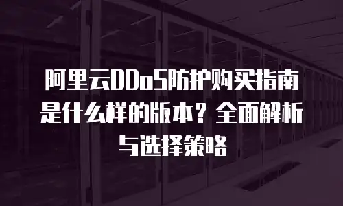 阿里云DDoS防护购买指南是什么样的版本？全面解析与选择策略