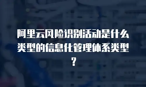 阿里云风险识别活动是什么类型的信息化管理体系类型？