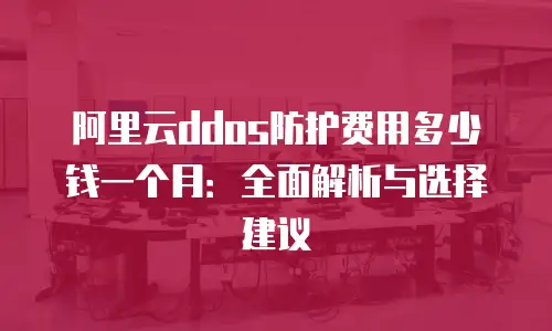 阿里云ddos防护费用多少钱一个月：全面解析与选择建议