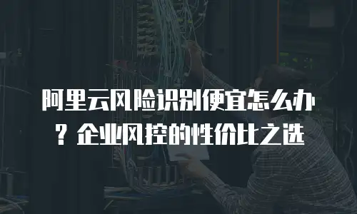 阿里云风险识别便宜怎么办？企业风控的性价比之选