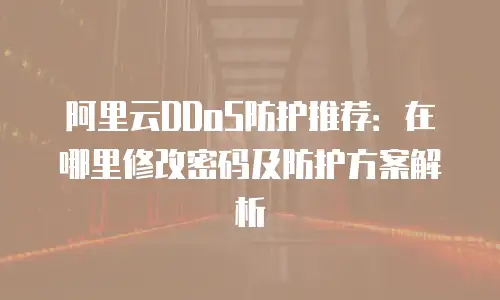 阿里云DDoS防护推荐：在哪里修改密码及防护方案解析