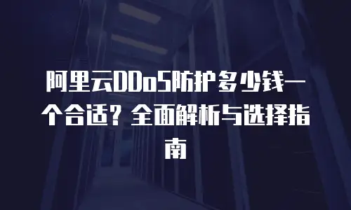 阿里云DDoS防护多少钱一个合适？全面解析与选择指南