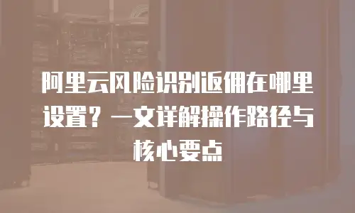 阿里云风险识别返佣在哪里设置？一文详解操作路径与核心要点