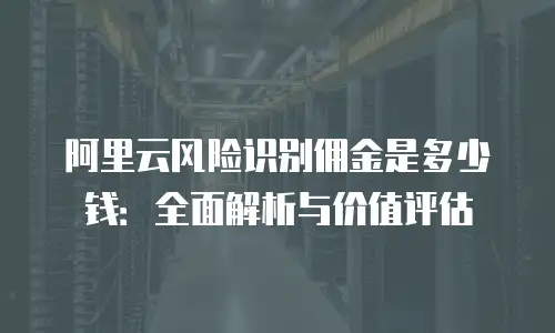 阿里云风险识别佣金是多少钱：全面解析与价值评估